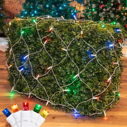 Vista 12 de Novelty Lights Luces de red de 2 x 10, 100 LED de color blanco cálido con espacio de 4 pulgadas, bombillas de gran angular de 0.197 in en cable