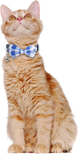 Vista 5 de Paquete de 2 collares de gato con pajarita y flor a cuadros de campana para gatito Azul