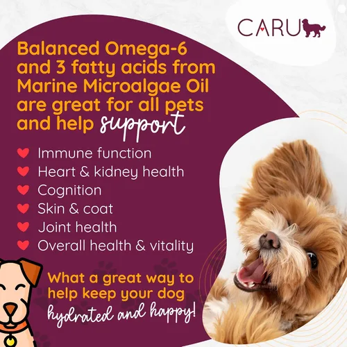 Vista 2 de Caru - Estofado de pollo Classics - Para perros - Apoya la salud general de las mascotas - Comida húmeda para perros - Ingredientes de grado humano