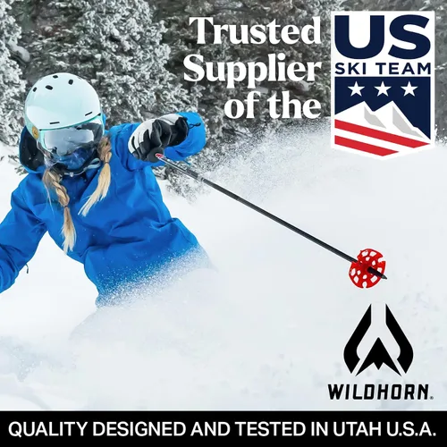 Vista 6 de Wildhorn Roca - Gafas de esquí para hombres y mujeres con protección antiempañamiento/arañazos 100% UV - Lente magnética - Gafas de nieve