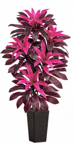 Vista 25 de Árbol de Dracaena artificial rojo de 6 pies, plantas falsas altas Hoja blanco-roja