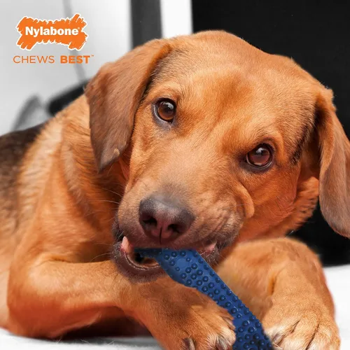 Vista 2 de Nylabone Moderate Chew FlexiChew Dental Chew Juguete Masticable Pollo MedianoLobo (1 unidad)