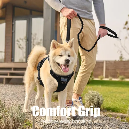 Vista 7 de BUMBIN Correa elástica de 6 pies con 2 asas para perros grandes, medianos y pequeños, resistente, sin tirones, absorción de golpes con cinturón