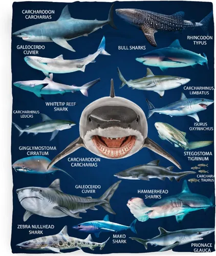 Vista 19 de Manta de tiburón de dibujos animados, regalos para niñas y niños, regalos para amantes de los tiburones, manta de tiburón, regalos para niños