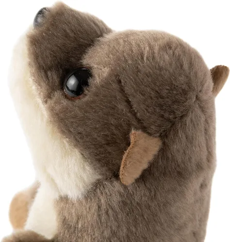 Vista 6 de The Petting Zoo Animal de Peluche de Nutria de Río, Regalos para Niños, Animales Salvajes Wild Onez Babiez, Juguete de Peluche de Nutria de Río de 6