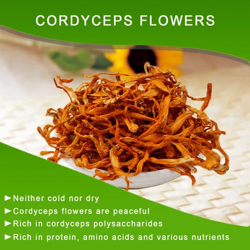 Vista 5 de Flor Cordyceps de 16 onzas, hongo Cordyceps seco 100% natural, apoya la función inmunológica energética para sopa/cocina/enfriamiento/té