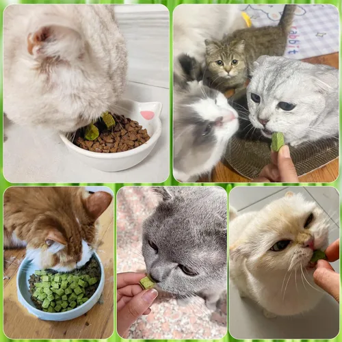 Vista 8 de 60g de hierba gatera para gatos, snacks de hierba gatera deshidratados al congelar para la dentición de gatitos, juguetes masticables comestibles