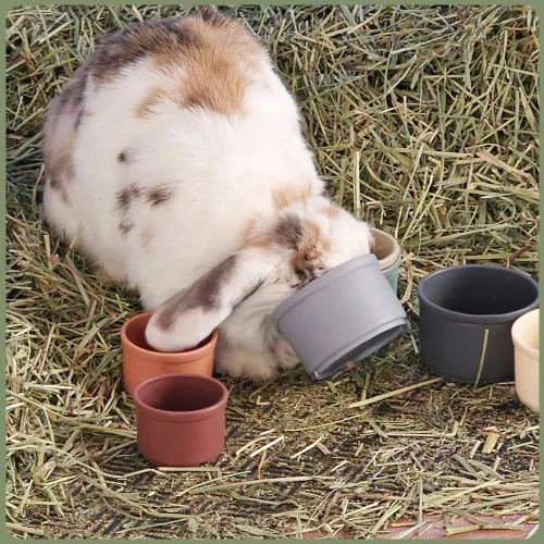 Vista 6 de Qoaimu 8 piezas de juguetes de conejito apilables para conejos y animales pequeños, coloridos vasos de anidación reutilizables de diferentes