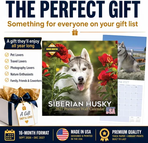Vista 8 de Razas de Perros 2017 SIBERIAN HUSKY