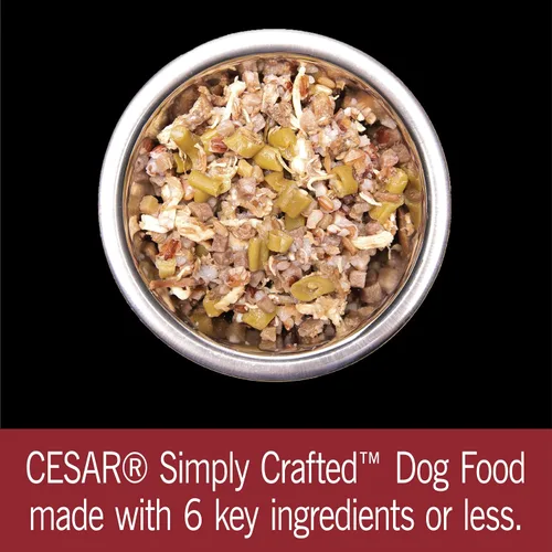 Vista 10 de Cesar, comida húmeda para perros de fabricación simple, 37 g. Empaque de 10 unidades.
