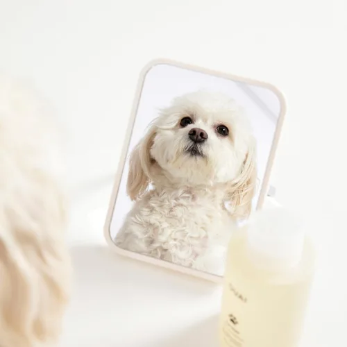 Vista 6 de Ouai Fur Bébé Champú para mascotas, aroma Mercer Street - Champú para perros y lavado para el pelaje que hidrata, limpia y añade brillo - Artículos