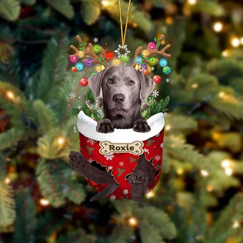 Vista 178 de LOVELYPOD Adorno Personalizado de Perro Affenpinscher, Adornos de Navidad Affenpinscher Regalo para Amante de Perros, Adorno de Navidad Colgante