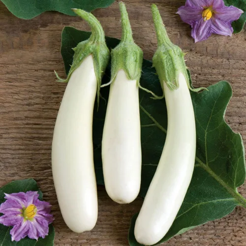 Vista 4 de Semillas Berenjena Blanca Berenjena Tailandesa Heirloom Vegetal No GMO para plantar