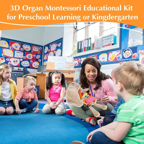 Vista 4 de vocheer Juguete de anatomía del cuerpo humano, juguetes de peluche de órgano educativo Montessori preescolar para niños, kits de aprendizaje