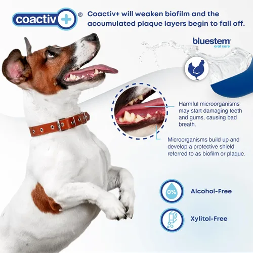 Vista 4 de bluestem Refresca el aliento de perro y gato, aditivo de agua dental seguro y eficaz, 17 onzas, pollo