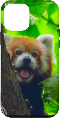 Vista 16 de Cute Funny Red Panda Smiling Tree Animal Nature Lover Gift Case for iPhone 17