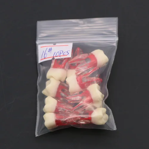 Vista 3 de 10 unids dientes modelo endodoncia archivo práctica pulpa para enseñanza estudio M807 16 #