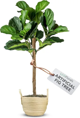 Vista 15 de LCG Florals - Árbol artificial de higuera de hoja de violín de 3.2 pies - Tronco de madera real, preensamblado, sin mantenimiento, planta artificial