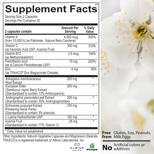Vista 7 de Apoyo inmunológico de defensa inmediata: zinc, saúco negro, equinácea, vitamina A y C con B12, potente refuerzo de la inmunidad para adultos