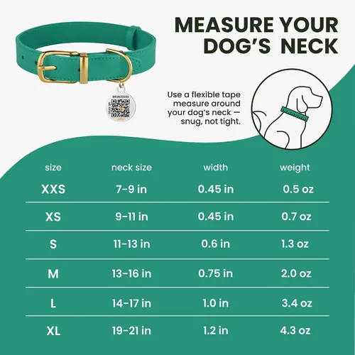 Vista 7 de BRONZEDOG Collar de cuero para perro con hebilla de metal, collares básicos duraderos para perros pequeños, medianos y grandes