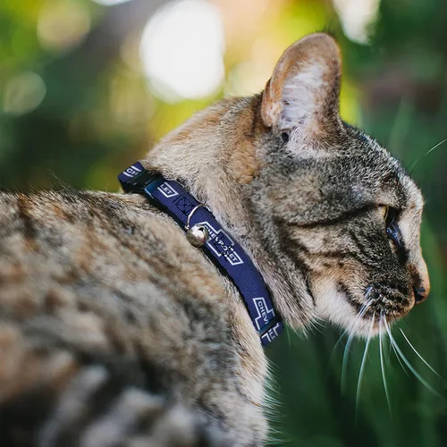 Vista 2 de Collar de gato Breakaway 1965 Chevrolet Bowtie Azul Blanco 8 a 12 pulgadas 0.5 pulgadas de ancho
