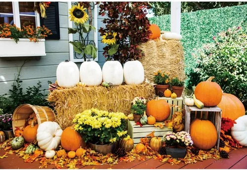 Vista 16 de Telón de fondo de otoño de 5 x 3 pies para sesión de fotos, tablero de madera de otoño para fotografía, decoración de pared de Acción de Gracias