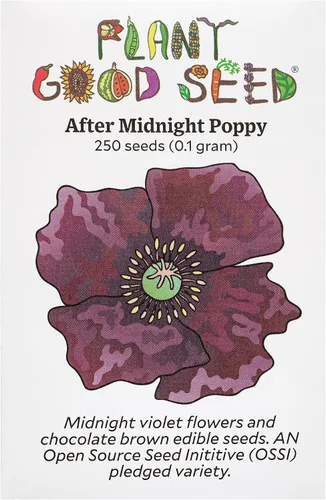 Vista 7 de Plant Good Seed Semillas de amapola de California, paquete de 300, semillas tradicionales para plantar flores, suministros de jardinería, jardín