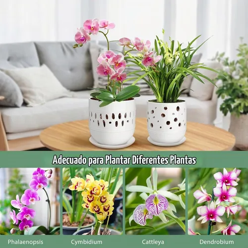 Vista 5 de Macetas para orquídeas LITUDISO, 5+6 pulgadas, blancas, de cerámica, aireadas, para interior/exterior, 7 pulgadas de ancho/altura, paquete de 2