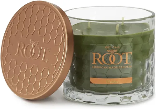 Vista 30 de Root Velas perfumadas de cera de abejas Veriglass, pequeño, Hosta