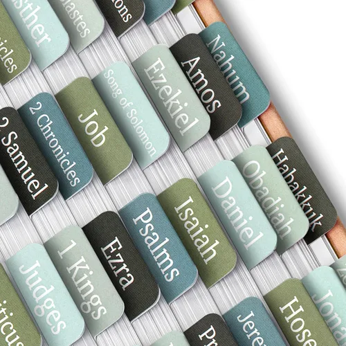 Vista 29 de Mr. Pen - Pestañas de la Biblia, 75 pestañas, tierra otoñal, letras doradas en relieve Laminated Bible Tabs for Women and Men, Bible Tabs for
