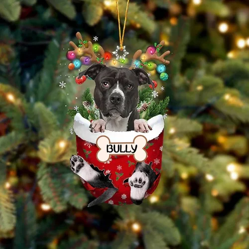 Vista 205 de IZI POD Affenpinscher Adorno de Navidad personalizado para perro, adorno de bolsillo de nieve para perro para árbol de Navidad, adorno acrílico
