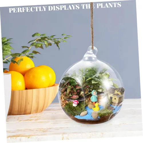 Vista 5 de 2 piezas de botella ecológica soporte para plantas de aire colgante globo terrario planta colgante terrario globo colgante terrario planta de aire