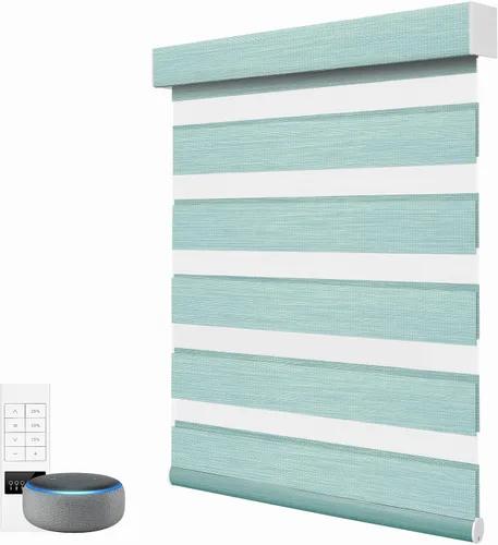 Vista 16 de ACMEART - Persianas motorizadas inteligentes de cebra con control remoto, persianas filtrantes de luz Beige
