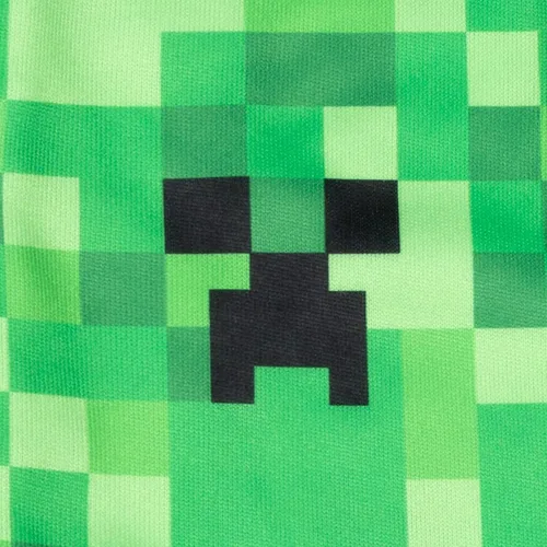 Vista 2 de Minecraft Creeper