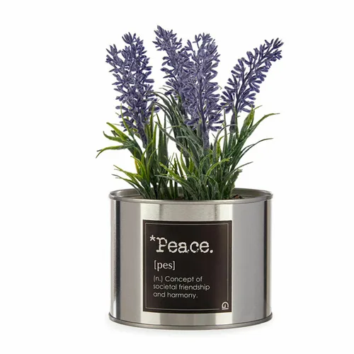 Vista 3 de Planta Decorativa Ibergarden Metal Plástico Lata Lavanda 10 x 18 x 10 cm (6 Unidades)