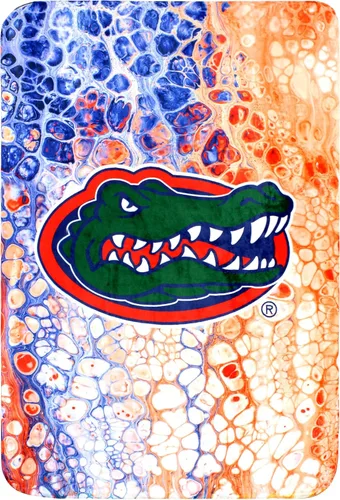 Vista 20 de College Covers Everything Comfy Arkansas Razorbacks Color Swept Manta Suave de Tiro, 30" x 40