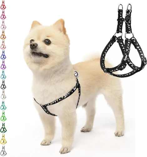 Vista 37 de Pupteck - Arnés para perros sin jalar, suave, ajustable, de nailon, talla básica, chaleco para cachorro, para caminar al aire libre con etiqueta