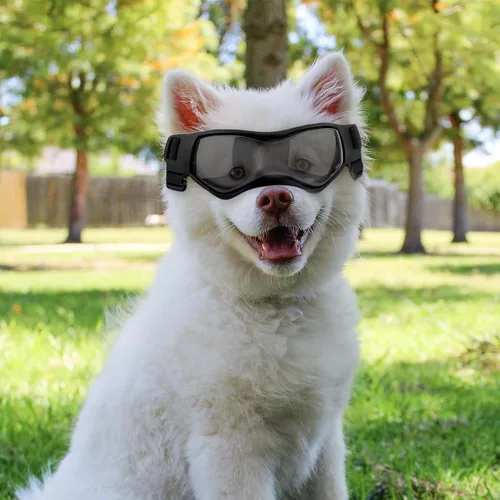 Vista 7 de Gafas de sol para perros de raza pequeña, gafas para perros pequeños, resistentes al viento, antivaho, anteojos ajustables para perros pequeños