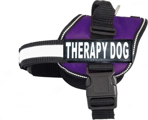 Vista 10 de Arnés de chaleco para perro de terapia con parches de Velcro removibles, la compra incluye 2 parches reflectantes con el texto «Therapy Dog» Antes