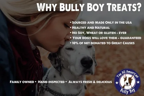 Vista 5 de Bully Boy Pets EE. UU. ahumado Gourmet perro Jerky Treat 12oz pollo Sticks