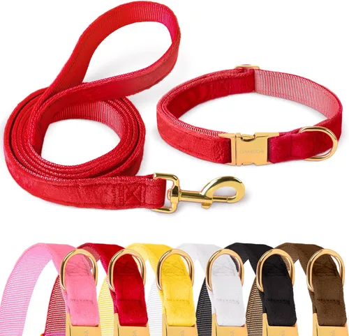 Vista 7 de GAMUDA Collar y correa de terciopelo para perro, súper suave y liso, hebilla dorada resistente, cómodo y fácil de limpiar, collar ajustable