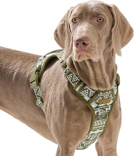 Vista 24 de Arnés para perro sin tirones, chaleco ajustable para perro para caminar fácilmente, material Oxford transpirable, arnés reflectante para mascotas
