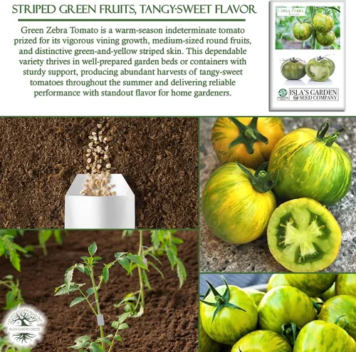 Vista 5 de Semillas de tomate Green Zebra (Solanum lycopersicum) – Más de 50 semillas tradicionales no transgénicas de Isla's Garden Seeds, tomates verdes a