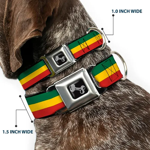 Vista 2 de Buckle-Down Collar de perro con hebilla para cinturón de seguridad, 1 pulgada de ancho, se adapta a cuello de 9 a 15 pulgadas, pequeño