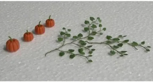 Vista 3 de Serie de plantas de jardinería: calabazas, 1-3/8
