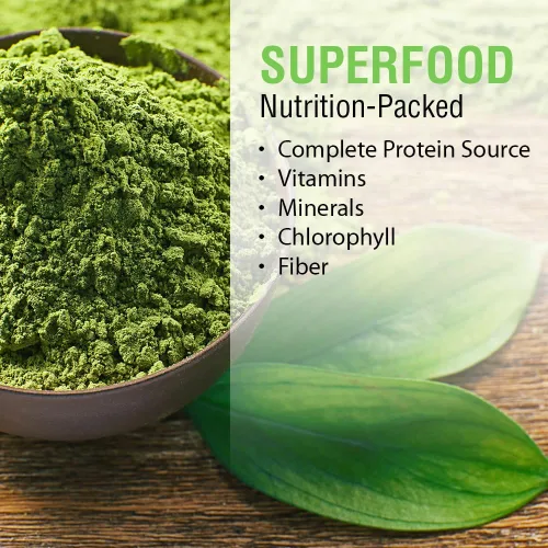 Vista 4 de SOLARAY Broken Cell Chlorella 410 mg Superalimento rico en nutrientes con proteínas de origen natural, vitaminas, minerales, clorofila Sin OMG