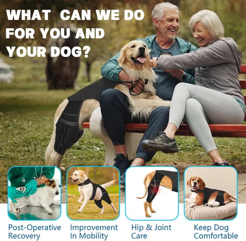 Vista 4 de Rodillera de perro para pierna trasera Acl, soporte de pierna de perro para pierna trasera, soporte de cadera ajustable para reducir el dolor