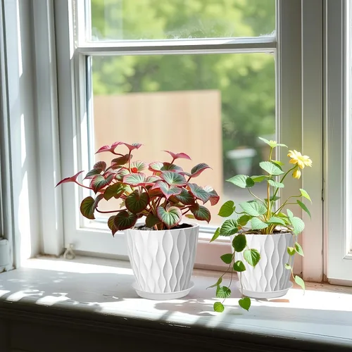 Vista 5 de Paquete de 10 macetas de 5 pulgadas con drenaje y platillos, macetas de plástico blancas para plantas de interior y exterior, macetas de vivero