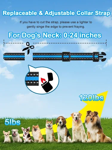 Vista 6 de Bousnic Collar de entrenamiento con choque para perros, para 2 perros (2.3-54.4 kg) - Collar de entrenamiento impermeable de 1005 m (3300 pies)