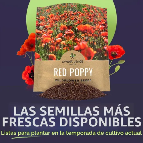 Vista 2 de Semillas de amapola roja - Paquete grande de 1 onza - Más de 200,000 semillas de flores